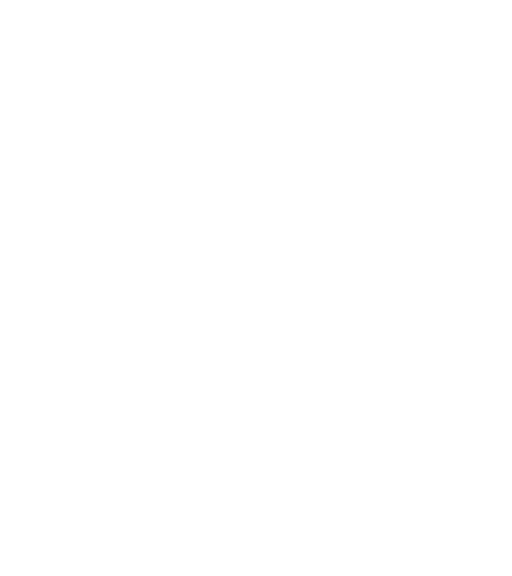 Sondhi Shop Leaf